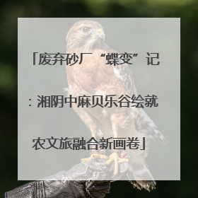 废弃砂厂“蝶变”记：湘阴中麻贝乐谷绘就农文旅融合新画卷